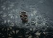 Two gold rings on a wet surface